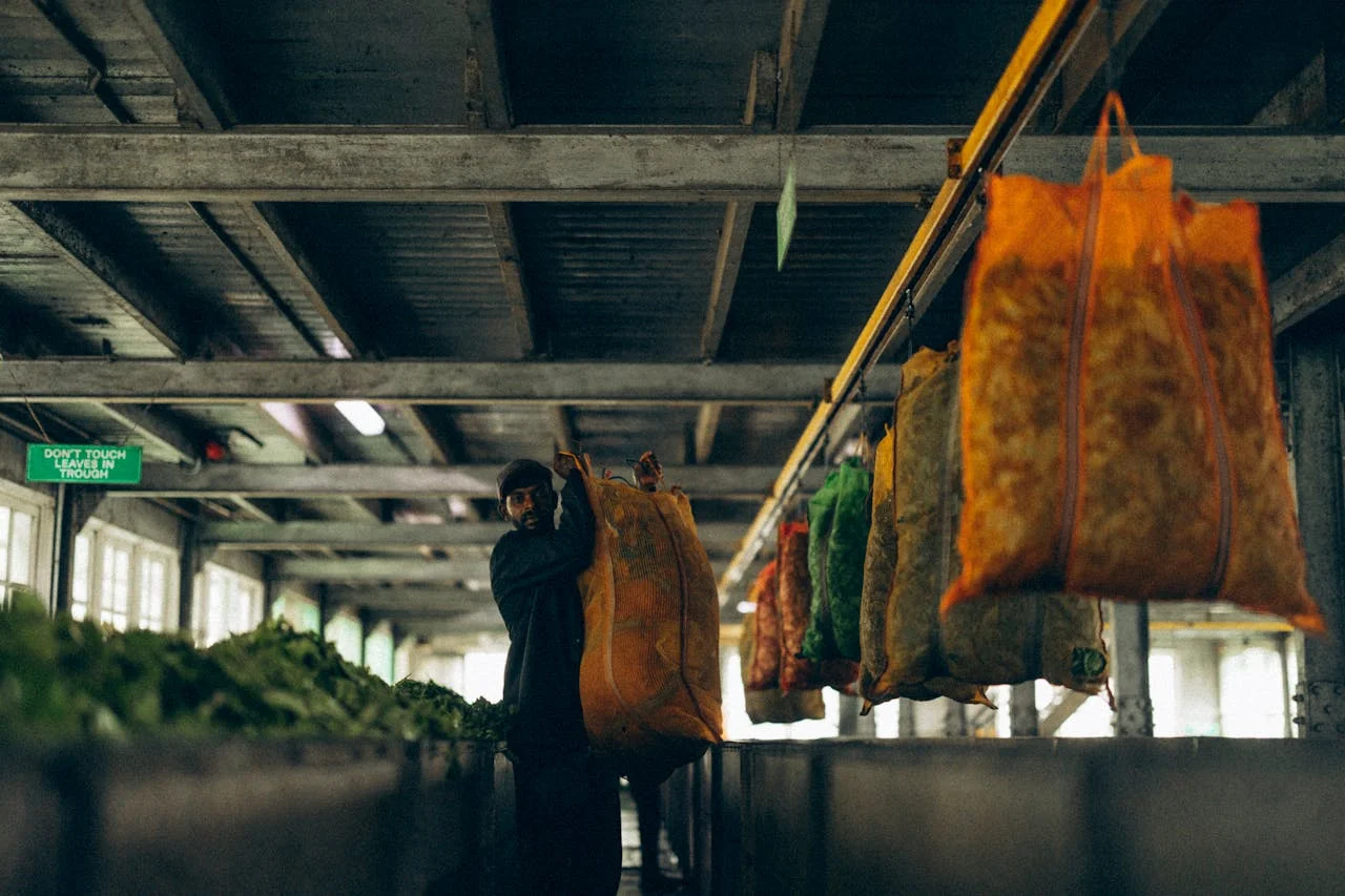 Worker inside a tea factory in Sri Lanka